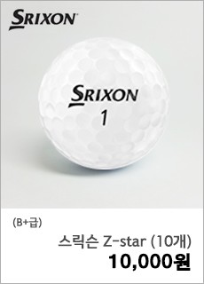 [B+] 스릭슨 Z-star (10개)